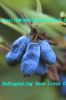 Lonicera Edulis Extract